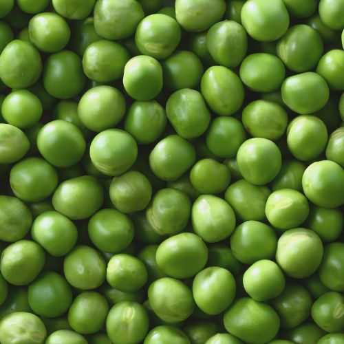 Guisantes